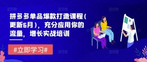拼多多单品爆款打造课程(更新6月)，充分应用你的流量，增长实战培训-淘金日记