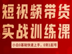 短视频带货实战训练课,好物分享实操,小白0基础快速上手,0到1起号-淘金日记