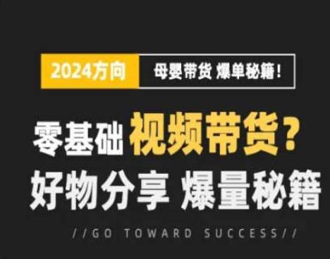 短视频母婴赛道实操流量训练营，零基础视频带货，好物分享，爆量秘籍-淘金日记