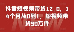 抖音短视频带货12.0,14个月从0到1,短视频带货90万件-淘金日记