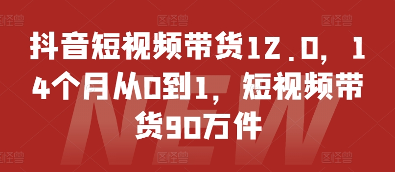 抖音短视频带货12.0,14个月从0到1,短视频带货90万件-淘金日记