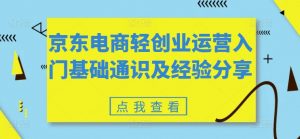 京东电商轻创业运营入门基础通识及经验分享-淘金日记