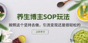 养生博主SOP玩法,按照这个坚持去做,引流变现还是很轻松的-淘金日记