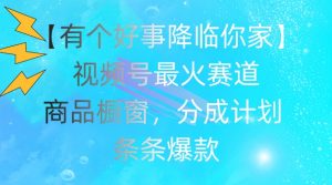 【有个好事降临你家】视频号爆火赛道，商品橱窗，分成计划，条条爆款【揭秘】-淘金日记