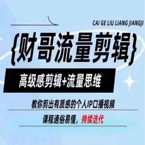 财哥流量剪辑,高级感剪辑+流量思维,教你剪出有质感的个人IP口播视频-淘金日记