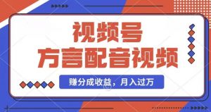 利用方言配音视频，赚视频号分成计划收益，操作简单，还有千粉号额外变现，每月多赚几千块钱【揭秘】-淘金日记