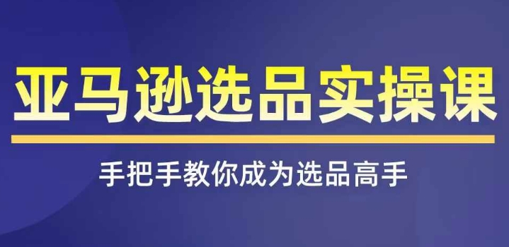 亚马逊选品实操课程,快速掌握亚马逊选品的技巧,覆盖亚马逊选品所有渠道-淘金日记