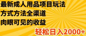 最新成人用品项目玩法，方式方法全渠道，轻松日入2K+【揭秘】-淘金日记