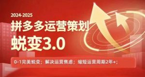 2024-2025拼多多运营策略蜕变3.0,0~1完美蜕变,解决信息焦虑-淘金日记