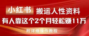 小红书搬运人性资料，有人靠这个2个月轻松赚11w，附教程【揭秘】-淘金日记