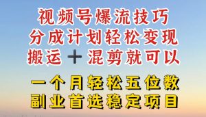 视频号爆流技巧，分成计划轻松变现，搬运 +混剪就可以，一个月轻松五位数稳定项目【揭秘】-淘金日记
