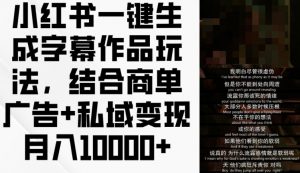 小红书一键生成字幕作品玩法，结合商单广告+私域变现月入1w+【揭秘】-淘金日记