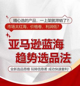 亚马逊蓝海趋势选法,全新选品思维,玩转信息差-淘金日记