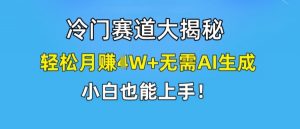 冷门赛道大揭秘,轻松月赚1W+无需AI生成,小白也能上手【揭秘】-淘金日记