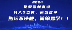 2024视频号新赛道，月入5位数+，原创过审，搬运不违规，简单易学【揭秘】-淘金日记
