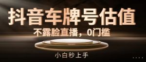 抖音车牌号估值,不露脸直播,0门槛,小白秒上手【揭秘】-淘金日记