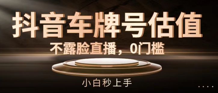 抖音车牌号估值,不露脸直播,0门槛,小白秒上手【揭秘】-淘金日记