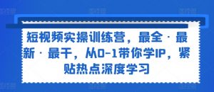 短视频实操训练营,最全·最新·最干,从0-1带你学IP,紧贴热点深度学习-淘金日记