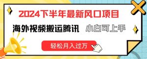 2024下半年最新风口项自,海外视频搬运腾讯,小白可上手,轻松月入过万【揭秘】-淘金日记