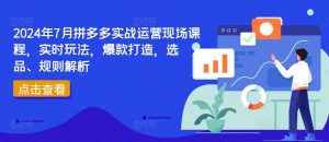 2024年7月拼多多实战运营现场课程，实时玩法，爆款打造，选品、规则解析-淘金日记