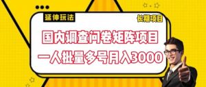 国内调查问卷矩阵项目,一人批量多号月入3000【揭秘】-淘金日记