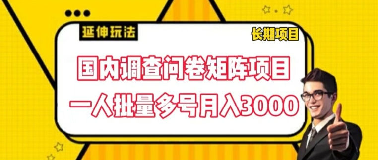 国内调查问卷矩阵项目,一人批量多号月入3000【揭秘】-淘金日记