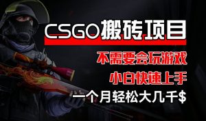 CSGO 装备搬砖项目，操作简单，不需要会玩游戏，小白也能快速上手，一个月轻松大几千【揭秘】-淘金日记