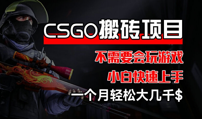 CSGO 装备搬砖项目,操作简单,不需要会玩游戏,小白也能快速上手,一个月轻松大几千【揭秘】-淘金日记
