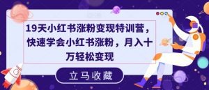 19天小红书涨粉变现特训营,快速学会小红书涨粉,月入十万轻松变现-淘金日记