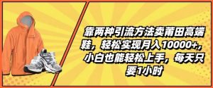 靠两种引流方法卖莆田高端鞋,轻松实现月入1W+,小白也能轻松上手,每天只要1小时【揭秘】-淘金日记