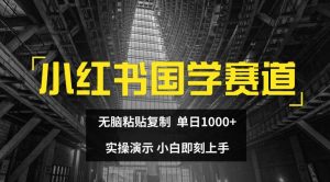 小红书国学赛道，无脑粘贴复制，单日1K，实操演示，小白即刻上手【揭秘】-淘金日记