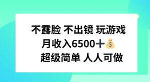 不露脸 不出境 玩游戏,月入6500 超级简单 人人可做【揭秘】-淘金日记