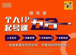 做号家的个人IP起号方法，快去掌握短视频领域，洞察短视频新玩法，68节完整-淘金日记