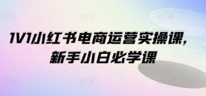 1V1小红书电商运营实操课,新手小白必学课-淘金日记