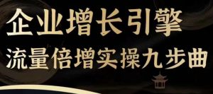 企业增长引擎流量倍增实操九步曲,一套课程帮你找到快速、简单、有效、可复制的获客+变现方式,-淘金日记