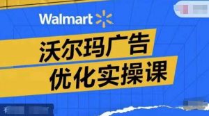 沃尔玛广告优化实操课，广告报告实操讲解，广告如何提高转化和ROAS等-淘金日记