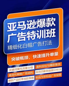 亚马逊爆款广告特训班,快速掌握亚马逊关键词库搭建方法,有效优化广告数据并提升旺季销量-淘金日记