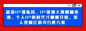 超级IP训练营,IP落地大课震撼来袭,个人IP的时代才刚刚开始,素人变网红的可行性方案-淘金日记