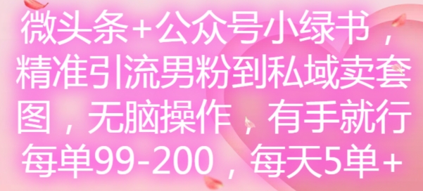 微头条+公众号小绿书，精准引流男粉到私域卖套图，无脑操作，有手就行，每单99-200，每天5单-淘金日记