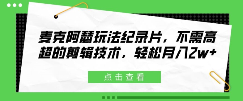 麦克阿瑟玩法纪录片,不需高超的剪辑技术,轻松月入2w+【揭秘】-淘金日记