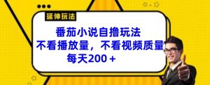 番茄小说自撸玩法，不看播放量，不看视频质量，每天200+【揭秘】-淘金日记