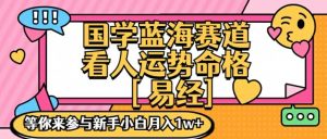 国学蓝海赋能赛道,零基础学习,手把手教学独一份新手小白月入1W+【揭秘】-淘金日记