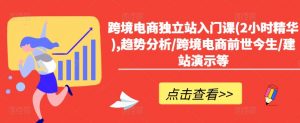 跨境电商独立站入门课(2小时精华),趋势分析/跨境电商前世今生/建站演示等-淘金日记
