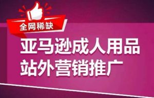 全网稀缺!亚马逊成人用品站外营销推广,教你引爆站外流量,开启爆单模式-淘金日记