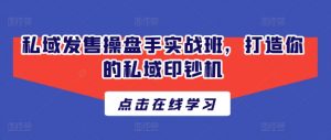 私域发售操盘手实战班,打造你的私域印钞机-淘金日记