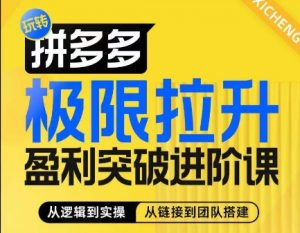 拼多多极限拉升盈利突破进阶课,从算法到玩法,从玩法到团队搭建,体系化系统性帮助商家实现利润提升-淘金日记