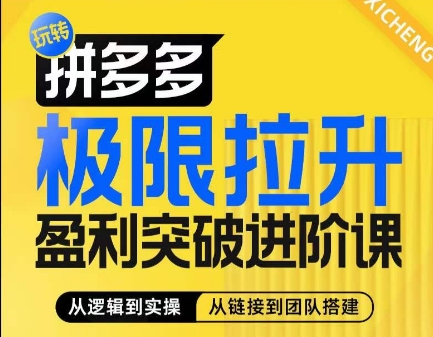 拼多多极限拉升盈利突破进阶课,从算法到玩法,从玩法到团队搭建,体系化系统性帮助商家实现利润提升-淘金日记