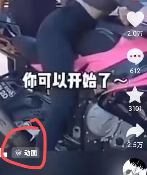 2024年7月苹果手机动图搬运技术-淘金日记