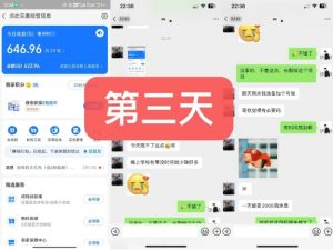 货币掘金项目,3天卖了2720!新项目内测组【限10人】-淘金日记