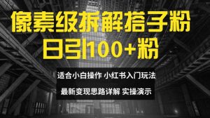 像素级拆解搭子粉,日引100+,小白看完可上手,最新变现思路详解【揭秘】-淘金日记